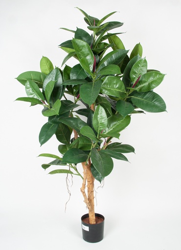 [1180-120] rubber leaf 