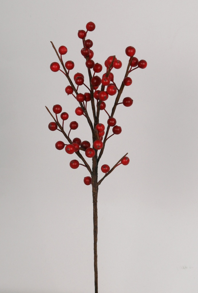ilex spray 