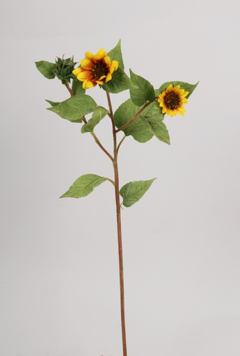 [6969] sunflower yellow 