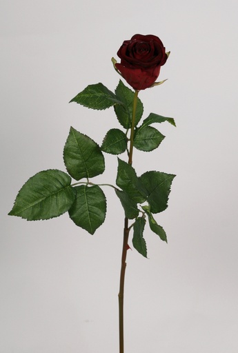 [6974] rose dark red 