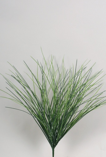 grass 