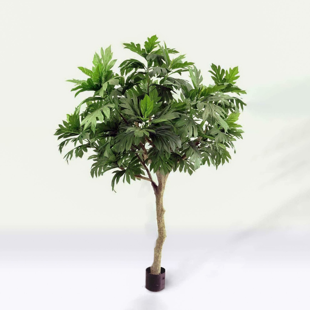 Artocarpus Altilis 
