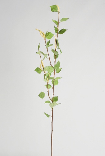 birch spray 