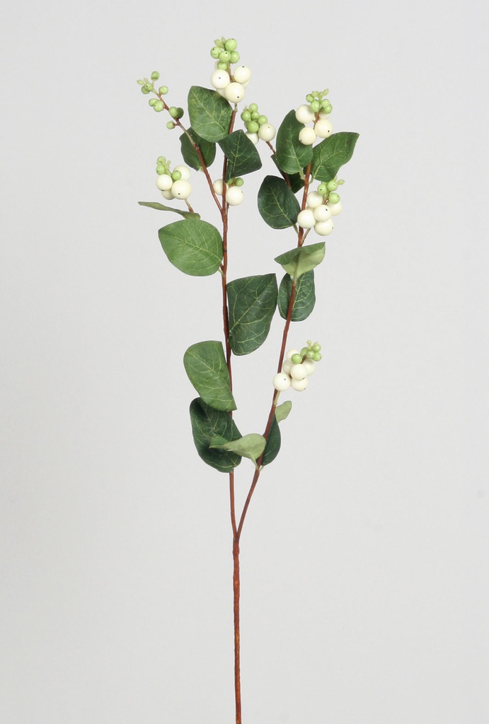 snowberry spray white 