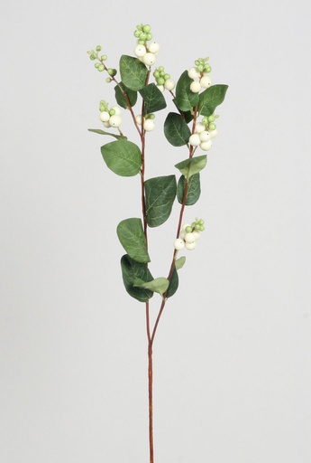 [4025] snowberry spray white 
