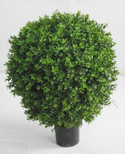 Boxwood Ball