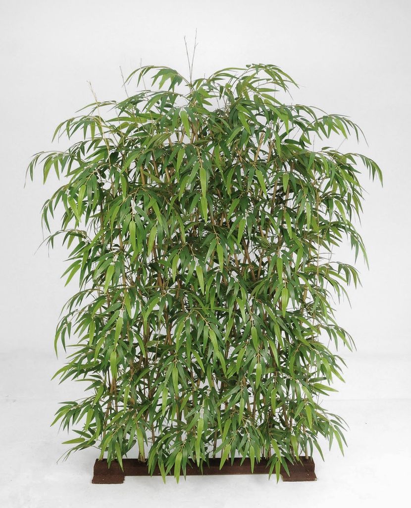 bamboo fenche 
