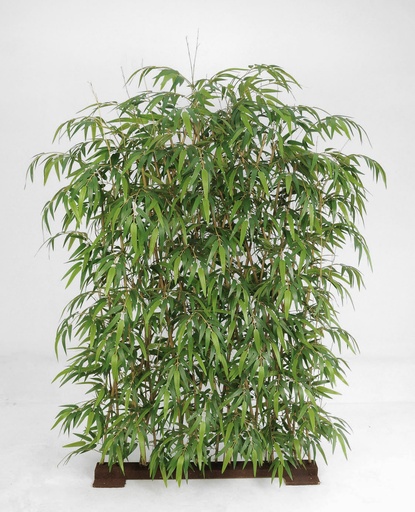 bamboo fenche 