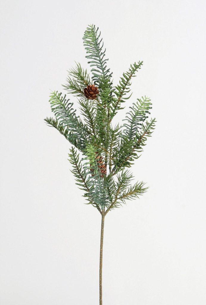 picea spray with cones 
