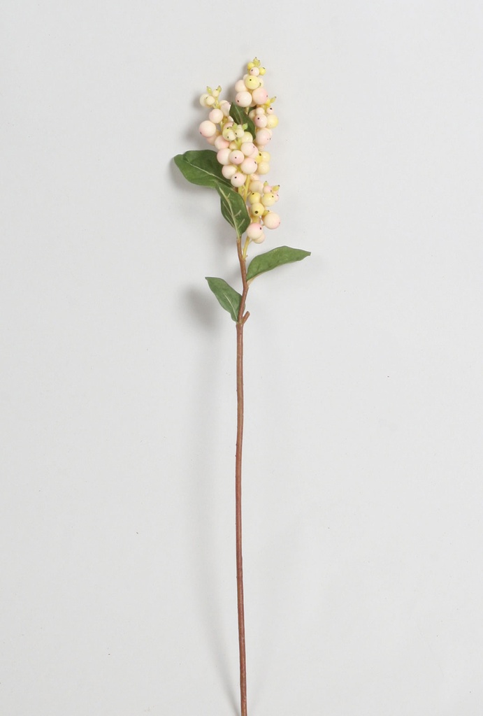 snowberry pink 