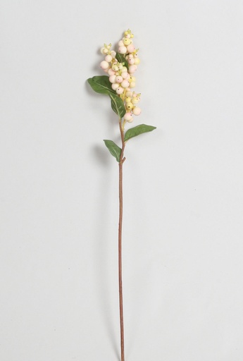 snowberry pink 