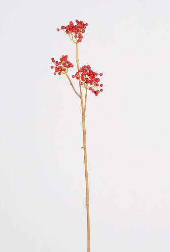 berry pick 
