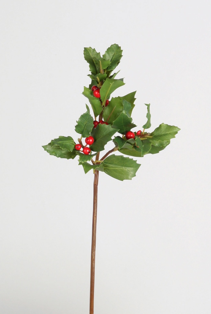 holly pick 