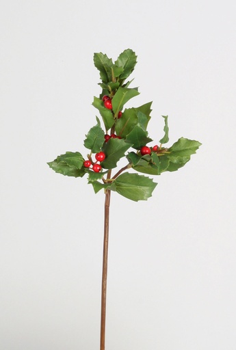 [4431] holly pick 