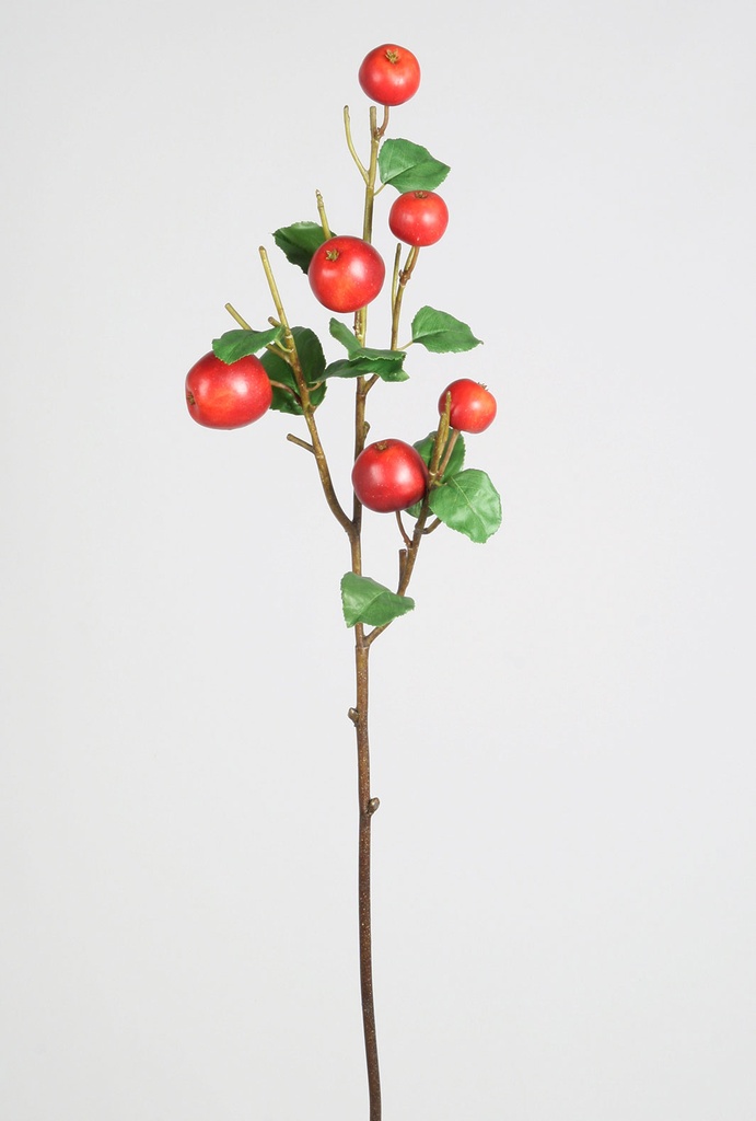 apple spray 