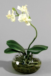 [845-4] Orchid (Alternative 1)