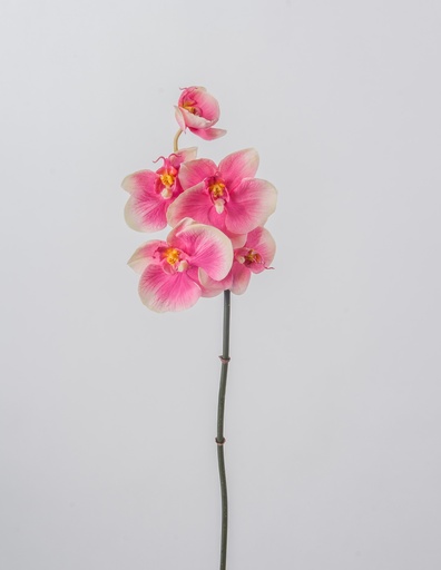[4470] mini orchid pink 