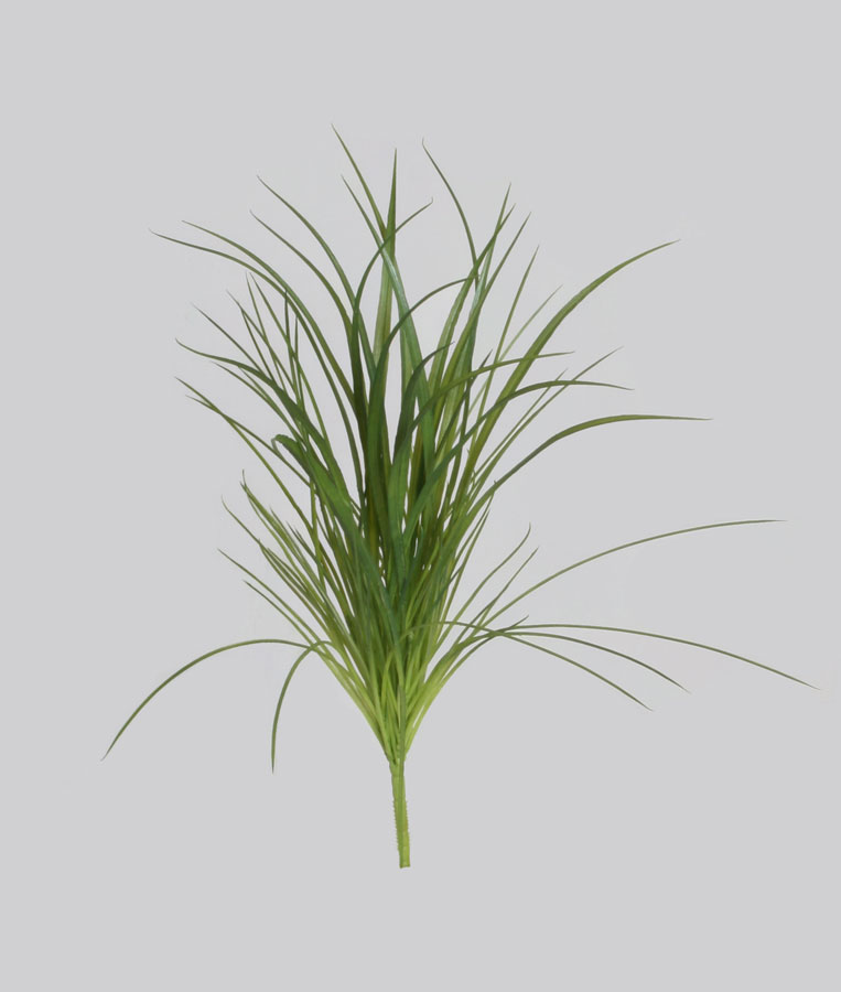 grass bush 