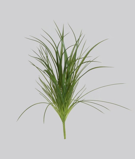 [4042] grass bush 