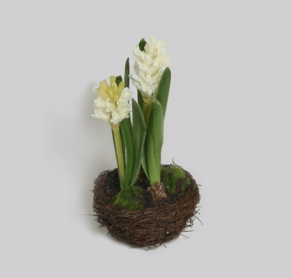 hyacinth arrangement 