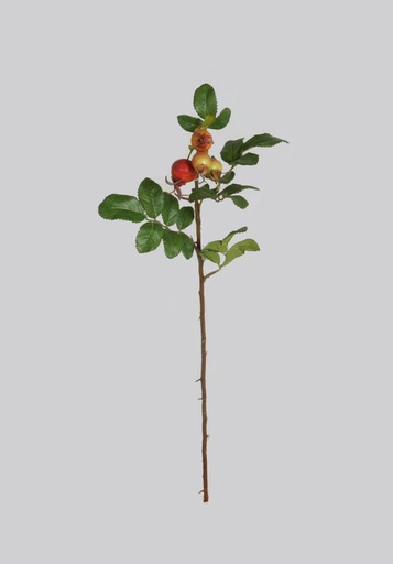 [4048] rosehip spray 