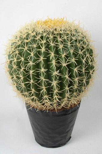 [4056] cactus ball  