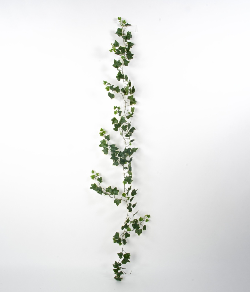 Ivy Garland