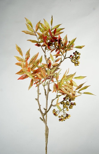 [7170] sorbus autumn spray 