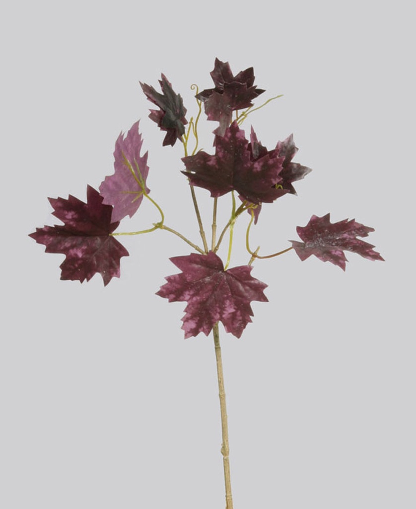 maple spray 
