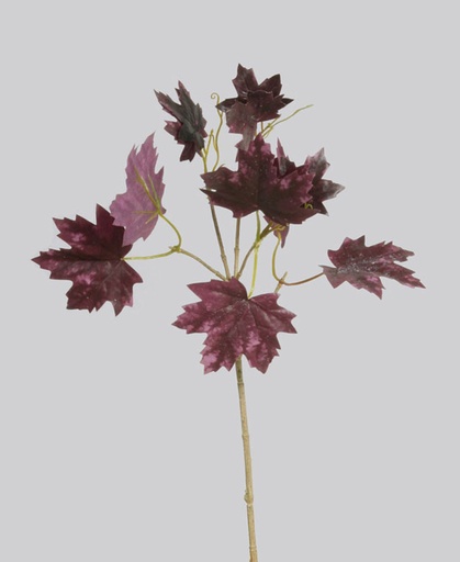[7167] maple spray 
