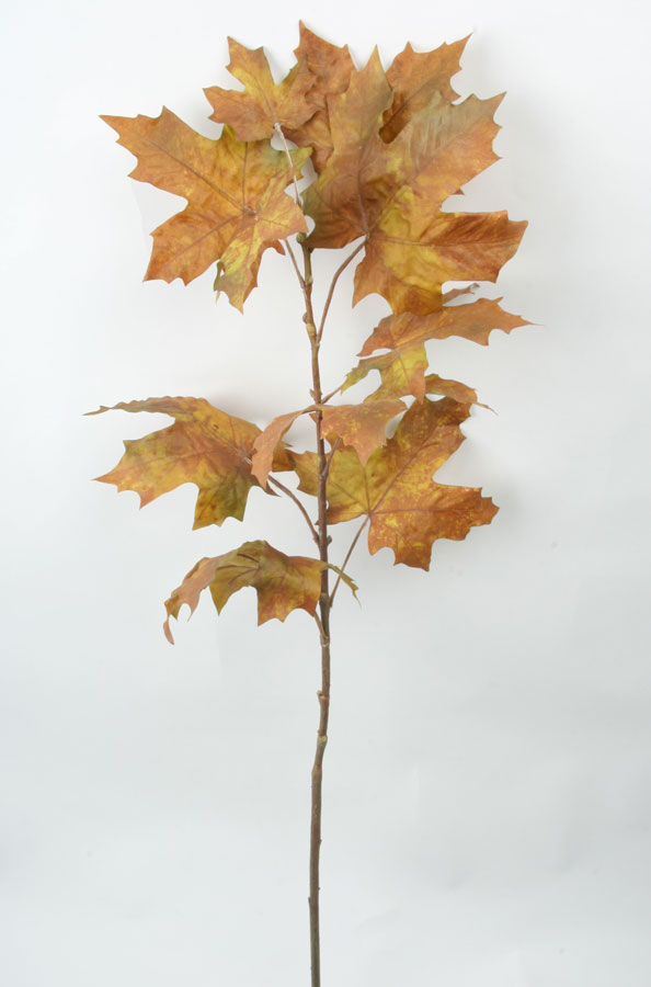 Maple Spray 