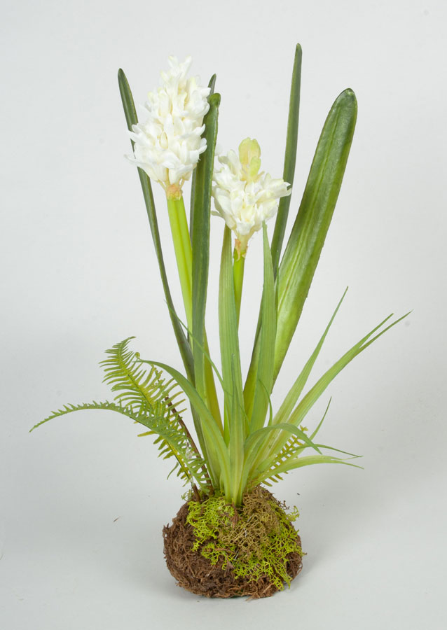 hyacinth arrangement cream 