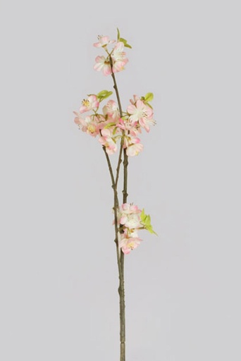 sakora spray 