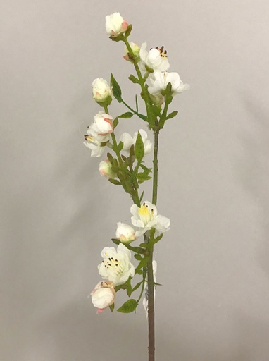 mini peach pick cream 