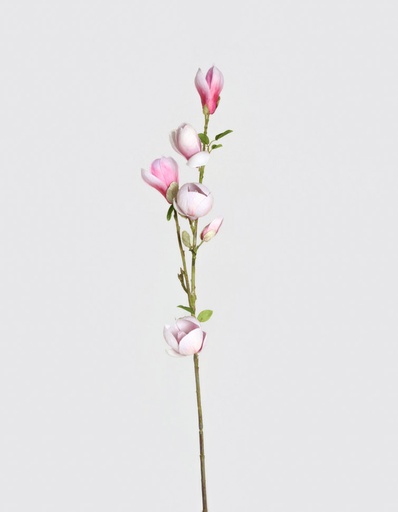 [7187] magnolia spray 