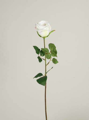 [7195] rose cream 