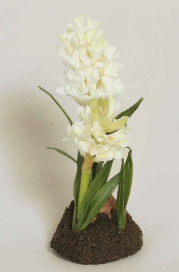 hyacinth arrangement cream 