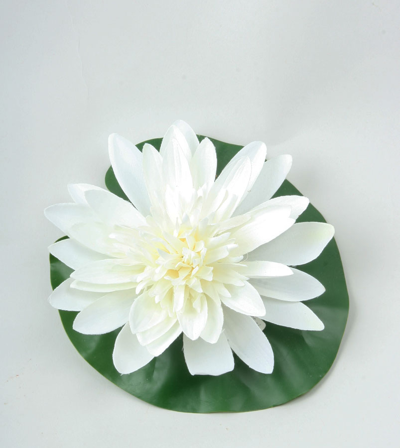 floating lotus head 