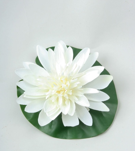 floating lotus head 