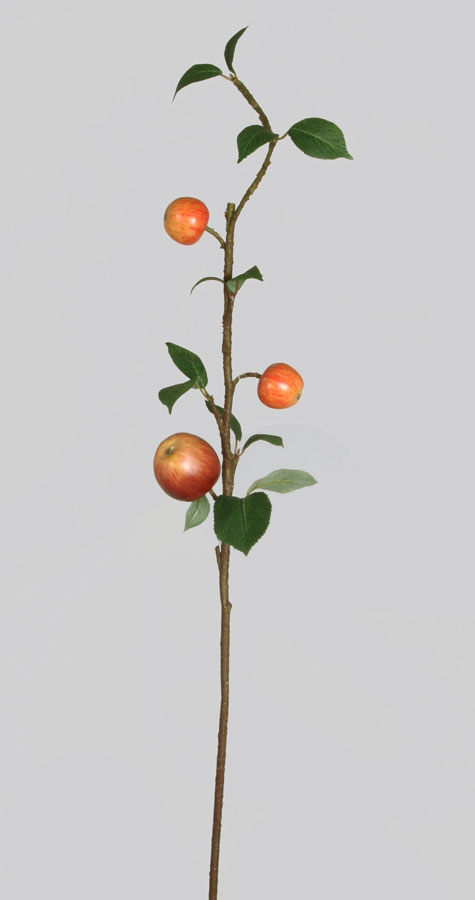 apple spray 