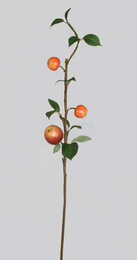 apple spray 