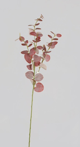 [7137-1] eucalyptus burgundy 