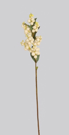 [4487] snowberry pick 