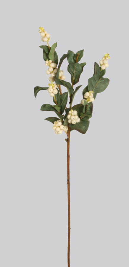snowberry cream 