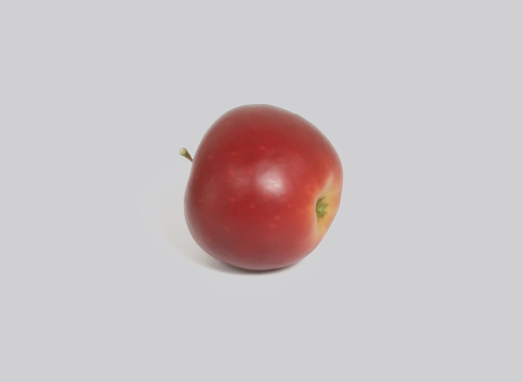 apple gravenstein 