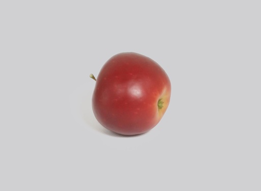 [4489] apple gravenstein 