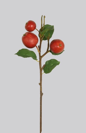 apple spray 