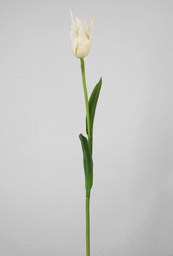 [6185-1] Tulip (Alternative 1)