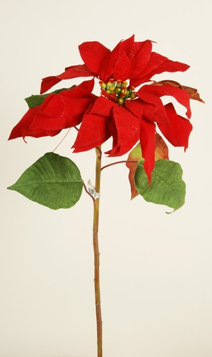 [9197] poinsettia red 