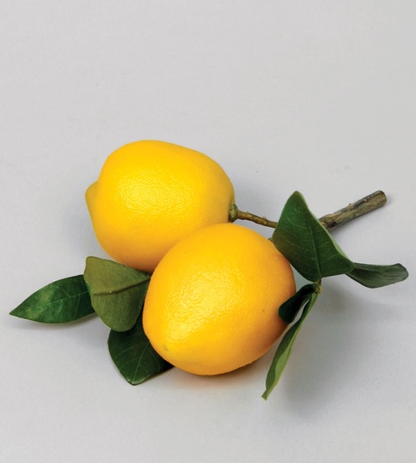 Lemon Pick x2 